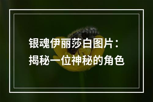 银魂伊丽莎白图片：揭秘一位神秘的角色