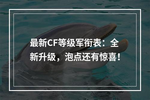 最新CF等级军衔表：全新升级，泡点还有惊喜！