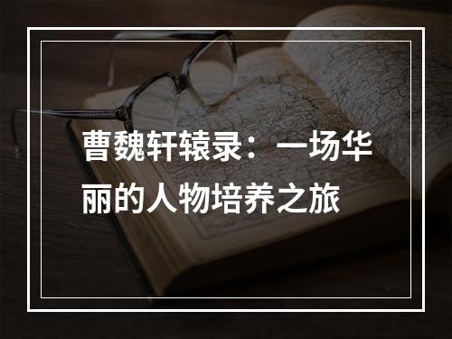 曹魏轩辕录：一场华丽的人物培养之旅