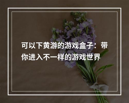 可以下黄游的游戏盒子：带你进入不一样的游戏世界