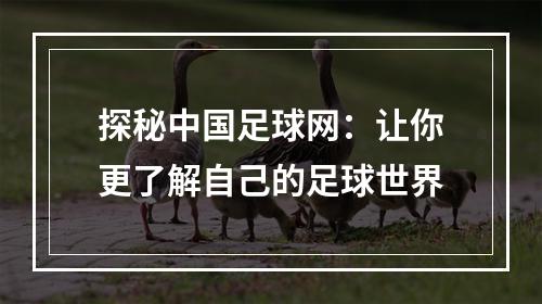 探秘中国足球网：让你更了解自己的足球世界