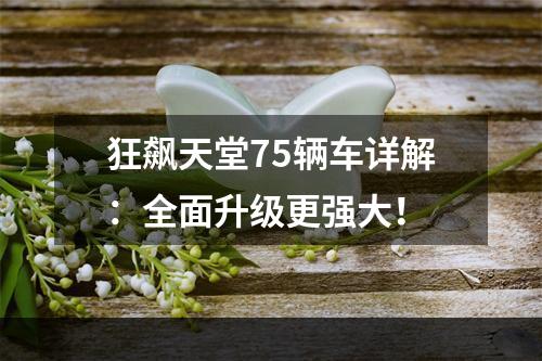 狂飙天堂75辆车详解：全面升级更强大！