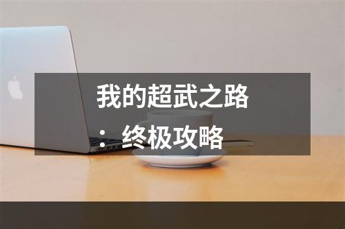 我的超武之路：终极攻略