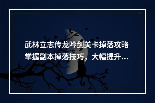 武林立志传龙吟剑关卡掉落攻略 掌握副本掉落技巧，大幅提升背包装备