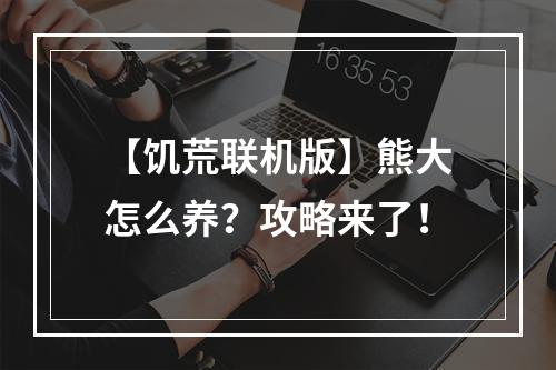 【饥荒联机版】熊大怎么养？攻略来了！