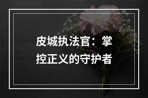 皮城执法官：掌控正义的守护者