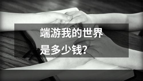 端游我的世界是多少钱？