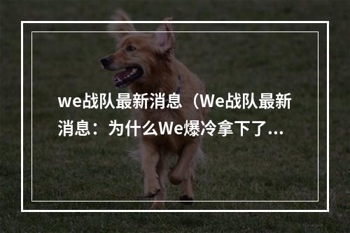 we战队最新消息（We战队最新消息：为什么We爆冷拿下了锦标赛？）