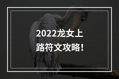 2022龙女上路符文攻略！