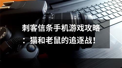 刺客信条手机游戏攻略：猫和老鼠的追逐战！