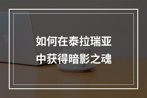 如何在泰拉瑞亚中获得暗影之魂