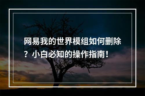 网易我的世界模组如何删除？小白必知的操作指南！