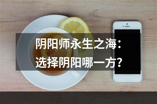 阴阳师永生之海：选择阴阳哪一方？