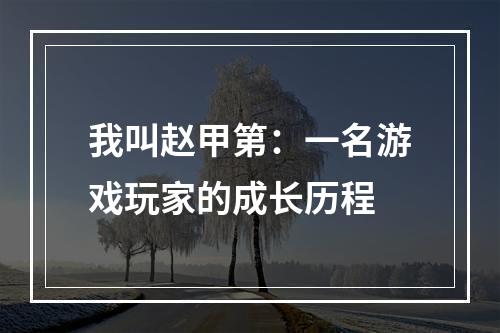 我叫赵甲第：一名游戏玩家的成长历程