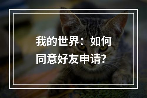 我的世界：如何同意好友申请？