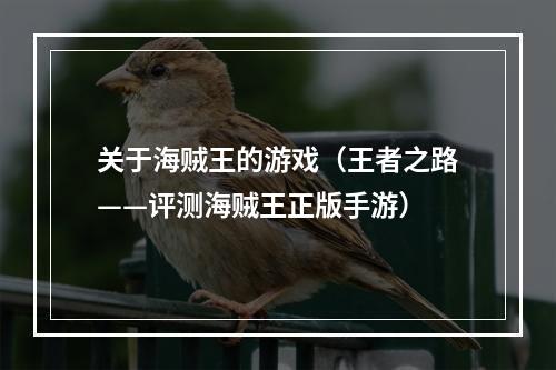 关于海贼王的游戏（王者之路——评测海贼王正版手游）