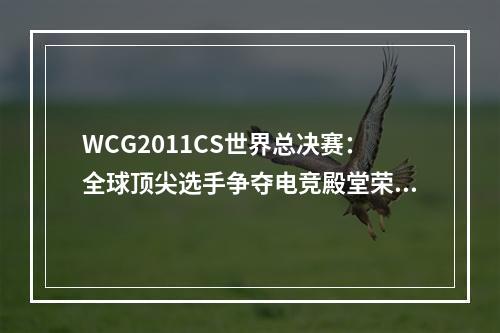 WCG2011CS世界总决赛：全球顶尖选手争夺电竞殿堂荣誉