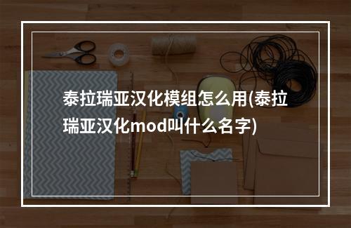 泰拉瑞亚汉化模组怎么用(泰拉瑞亚汉化mod叫什么名字)