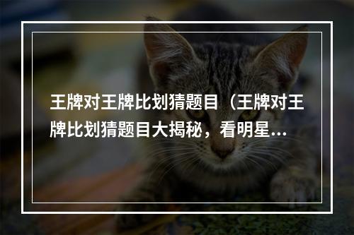 王牌对王牌比划猜题目（王牌对王牌比划猜题目大揭秘，看明星们如何在猜谜题中战斗到底！）