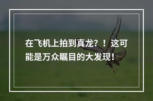 在飞机上拍到真龙？！这可能是万众瞩目的大发现！