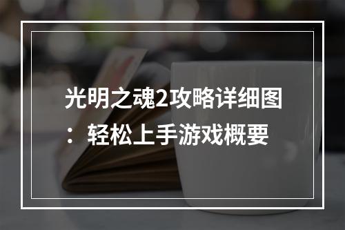 光明之魂2攻略详细图：轻松上手游戏概要