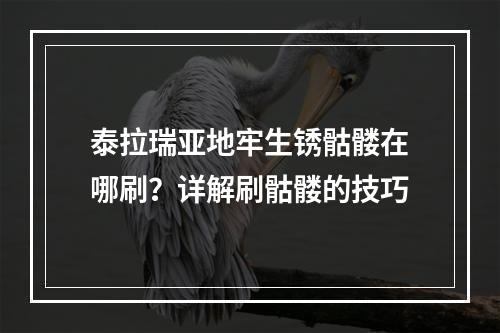 泰拉瑞亚地牢生锈骷髅在哪刷？详解刷骷髅的技巧