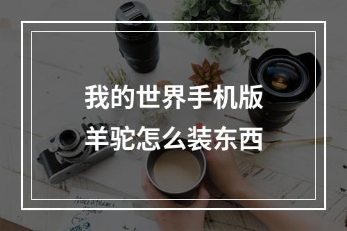 我的世界手机版羊驼怎么装东西