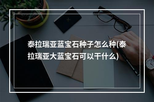 泰拉瑞亚蓝宝石种子怎么种(泰拉瑞亚大蓝宝石可以干什么)