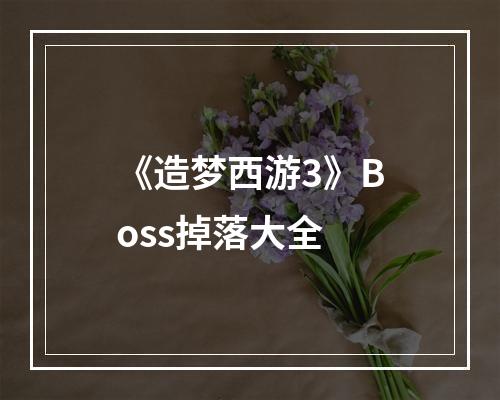 《造梦西游3》Boss掉落大全