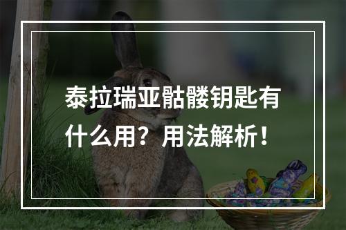 泰拉瑞亚骷髅钥匙有什么用？用法解析！