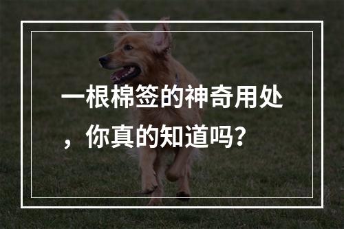 一根棉签的神奇用处，你真的知道吗？