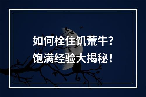 如何栓住饥荒牛？饱满经验大揭秘！