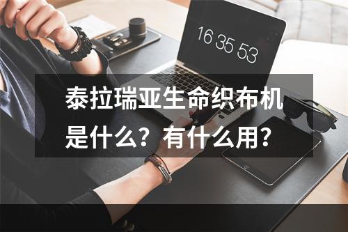 泰拉瑞亚生命织布机是什么？有什么用？