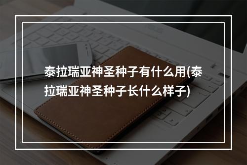 泰拉瑞亚神圣种子有什么用(泰拉瑞亚神圣种子长什么样子)