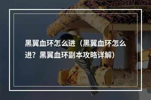 黑翼血环怎么进（黑翼血环怎么进？黑翼血环副本攻略详解）