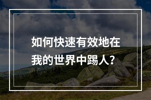 如何快速有效地在我的世界中踢人？