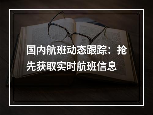 国内航班动态跟踪：抢先获取实时航班信息