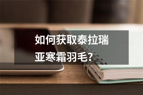 如何获取泰拉瑞亚寒霜羽毛？