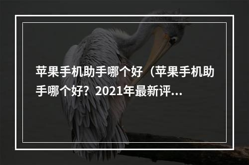 苹果手机助手哪个好（苹果手机助手哪个好？2021年最新评测，告诉你最实用的助手！）