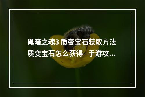 黑暗之魂3 质变宝石获取方法 质变宝石怎么获得--手游攻略网