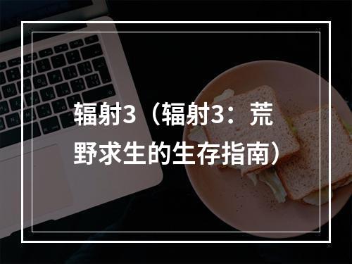 辐射3（辐射3：荒野求生的生存指南）