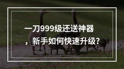 一刀999级还送神器，新手如何快速升级？