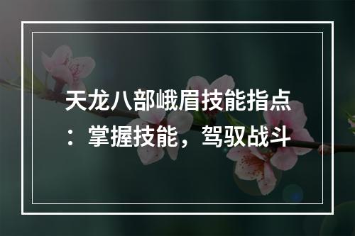 天龙八部峨眉技能指点：掌握技能，驾驭战斗