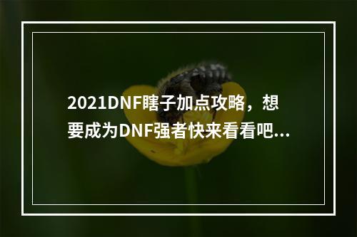 2021DNF瞎子加点攻略，想要成为DNF强者快来看看吧！