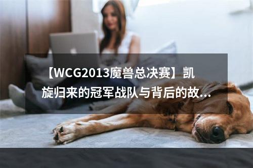 【WCG2013魔兽总决赛】凯旋归来的冠军战队与背后的故事