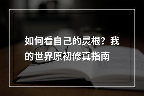 如何看自己的灵根？我的世界原初修真指南