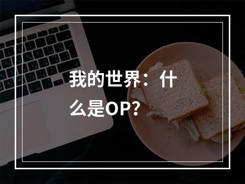 我的世界：什么是OP？