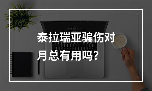 泰拉瑞亚骗伤对月总有用吗？