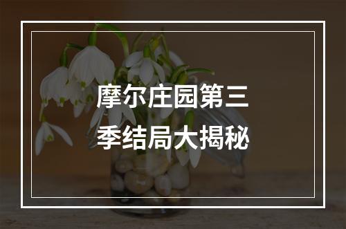 摩尔庄园第三季结局大揭秘