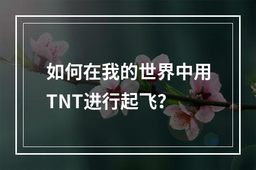 如何在我的世界中用TNT进行起飞？